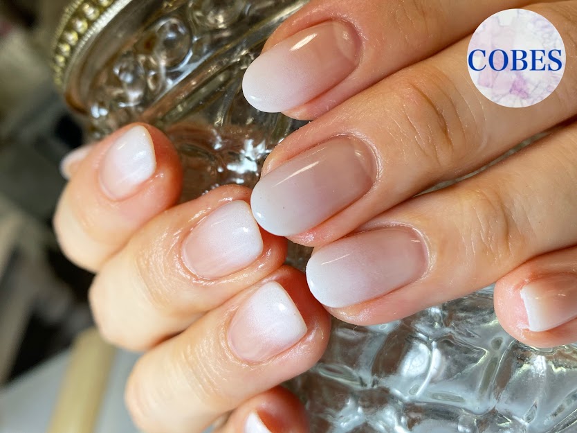 王道ホワイトグラデーション ニュアンスブラウン ジェルネイル Nail Salon Cobes